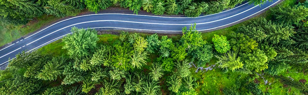 winding road through forest