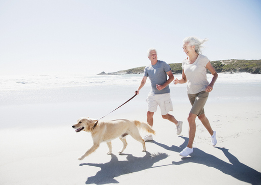 An elderly couple on the beach with their dog