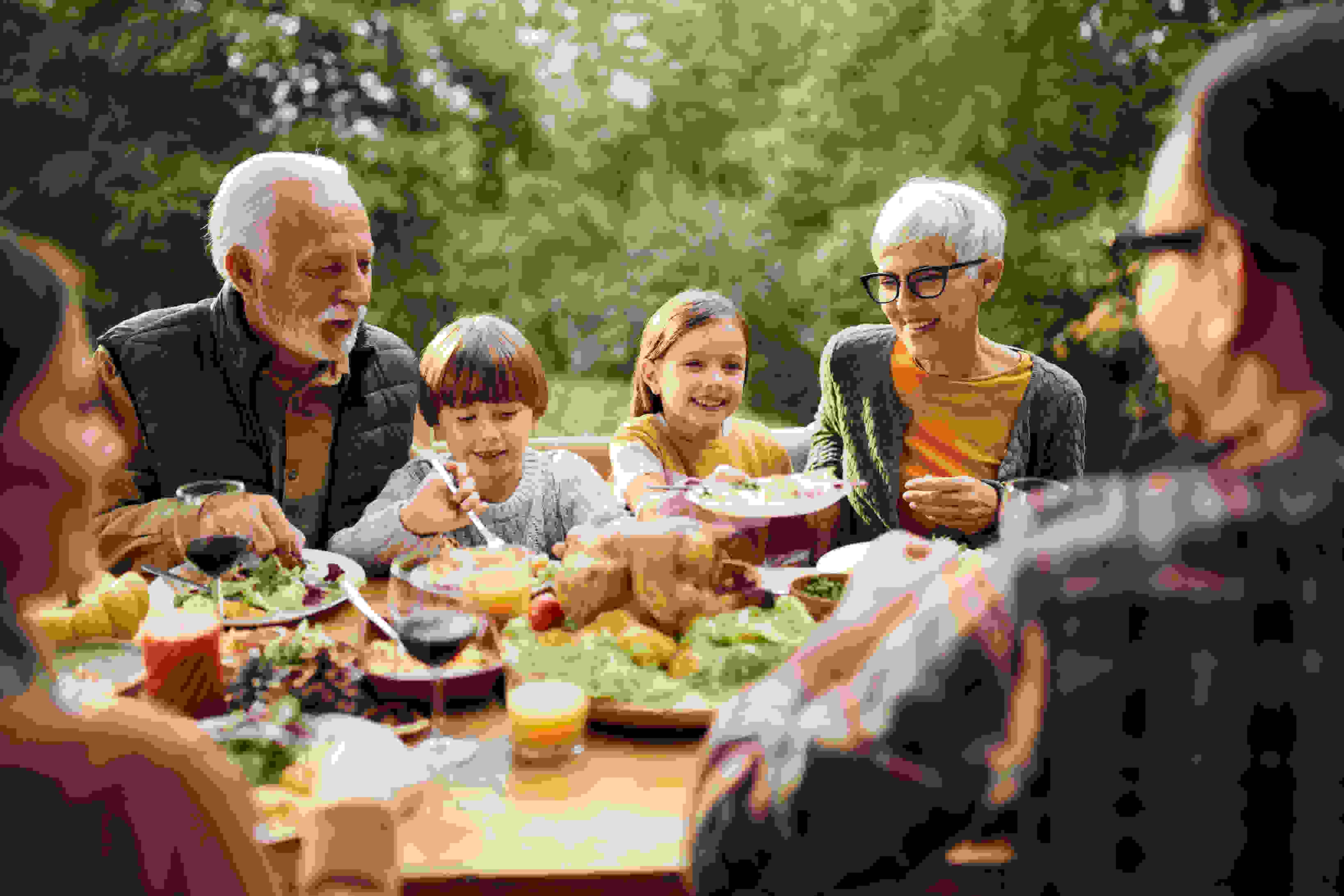An elderly couple enjoying a picnic with their family