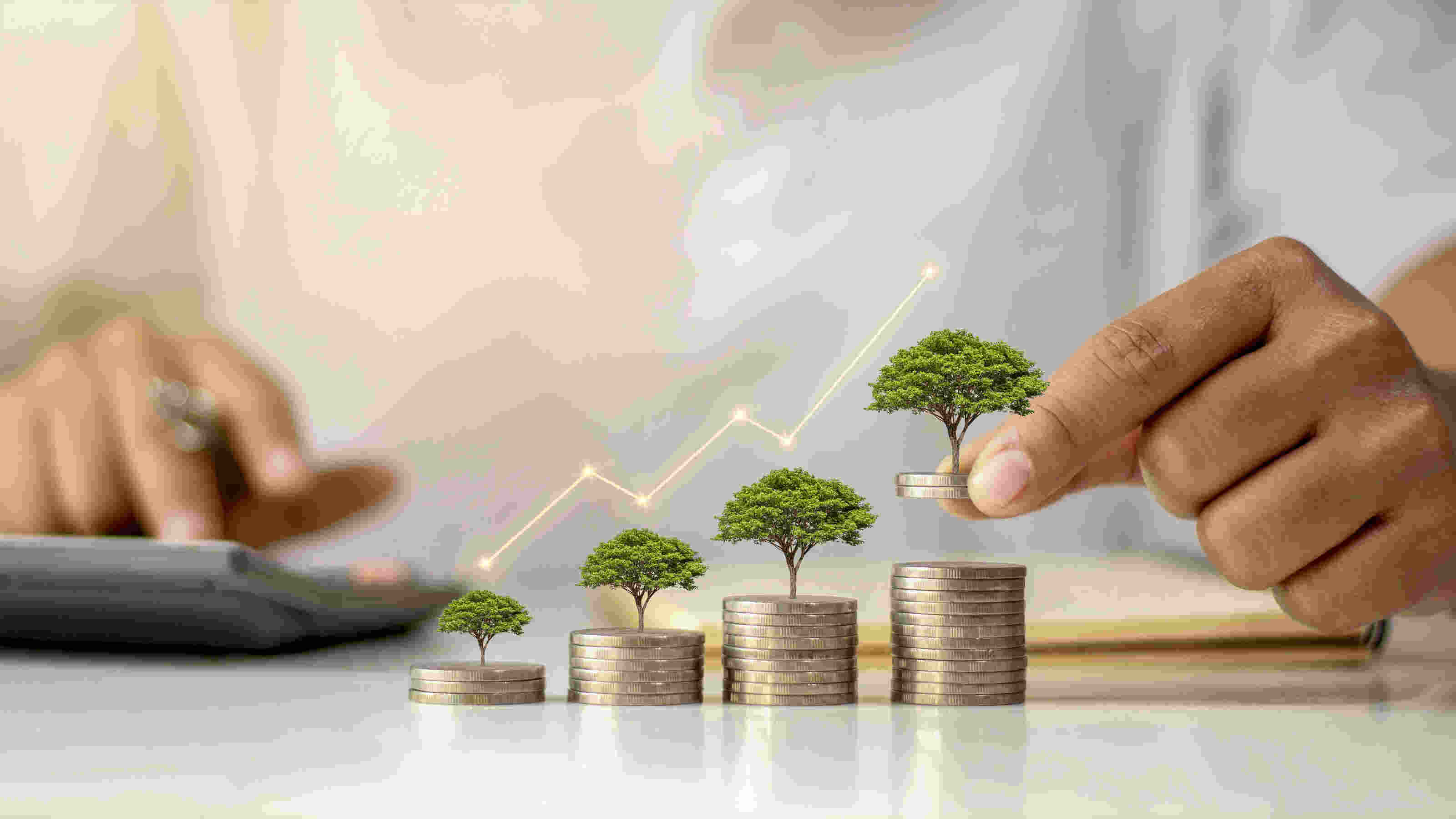 Coins with trees growing from them, symbolizing growth