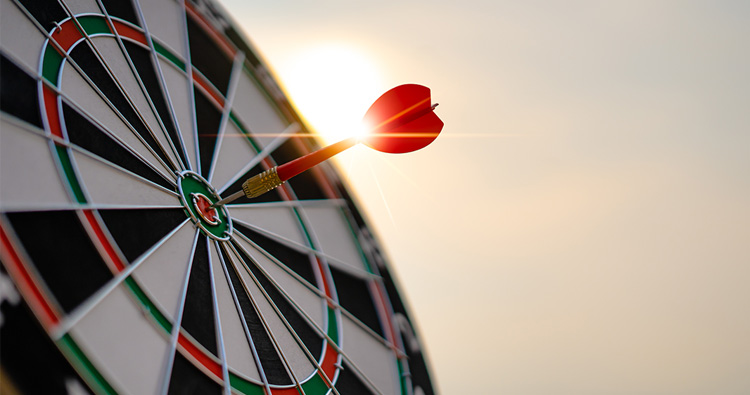 A close-up image of an archery target with an arrow in the center.