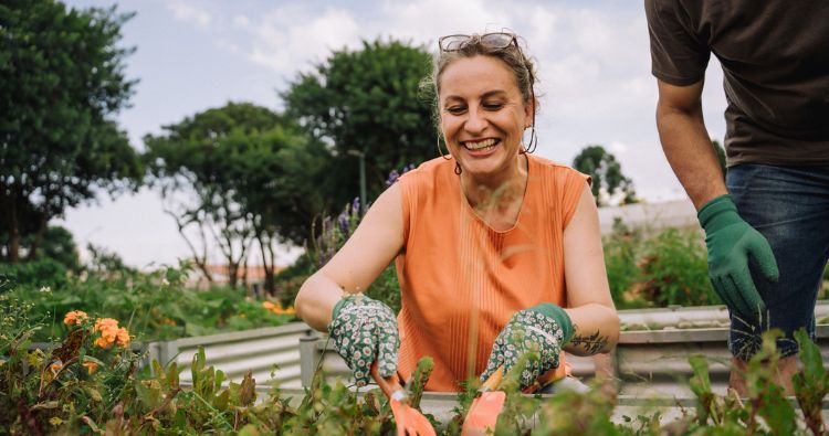 A retirement-aged woman plants in her garden