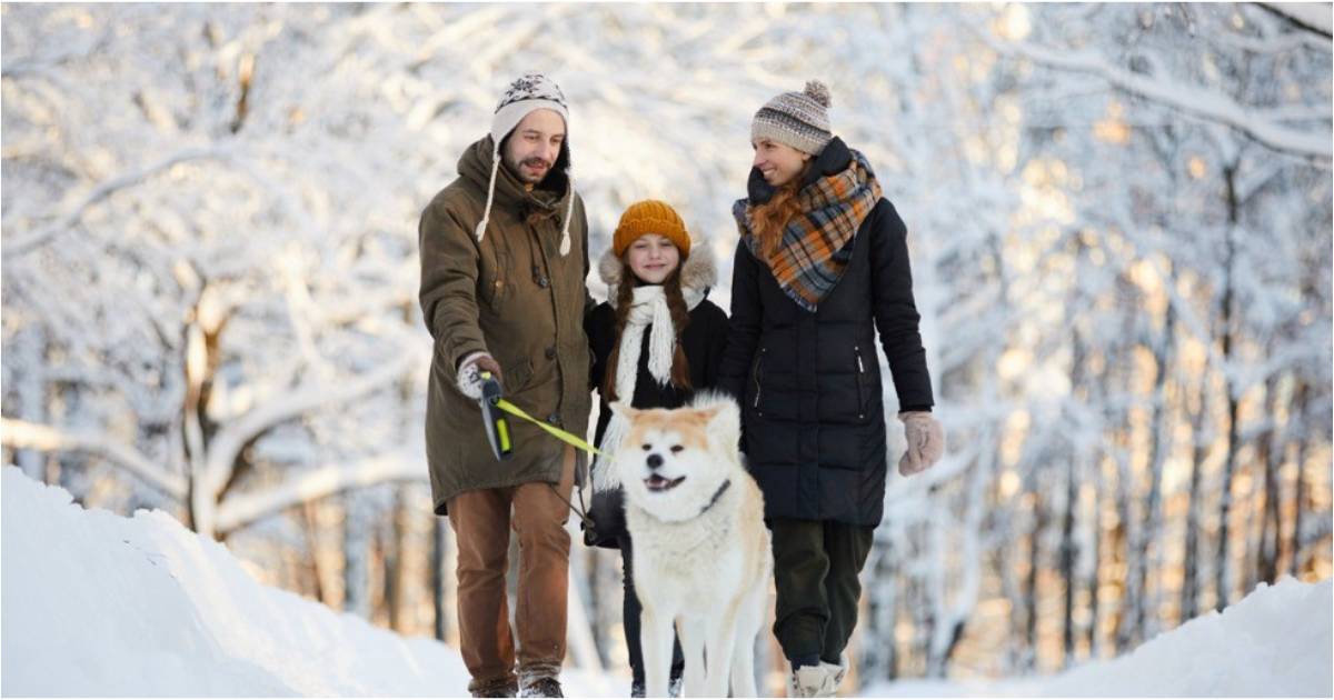 A family walks their dog in the snowy woods