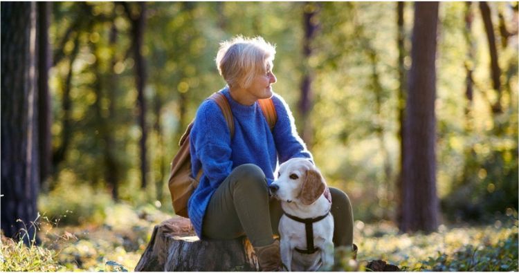 A retired woman sits on a log in the woods with her dog.
