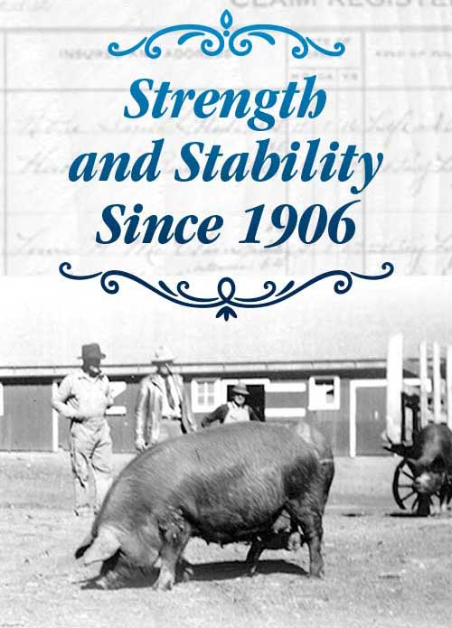 Strength and Stability Since 1906