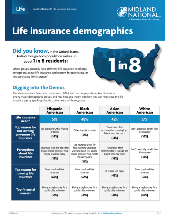 Life Insurance Demographic Flyer