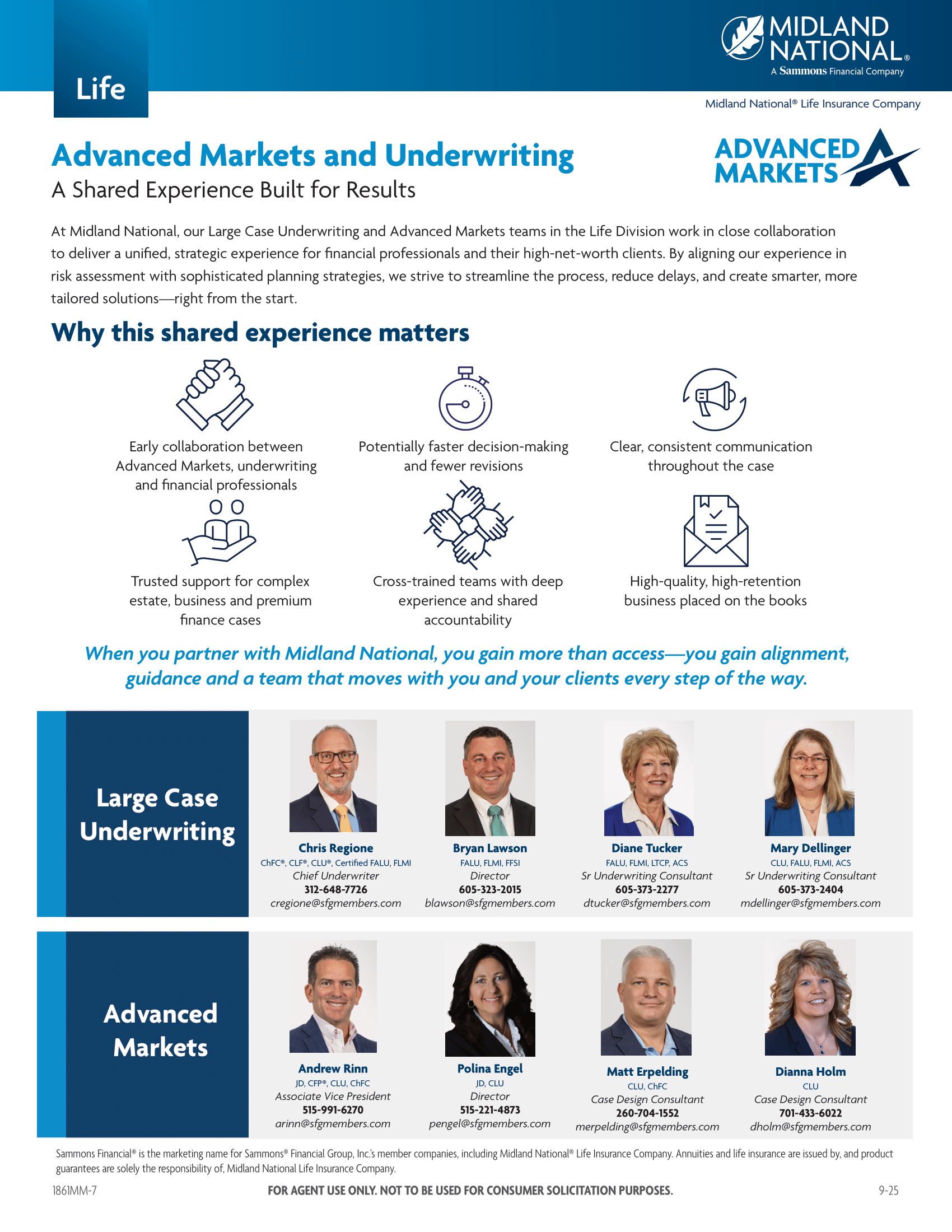 Large Case Underwriting Flyer