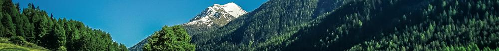 An image of forest-covered mountains with grass in the foreground.